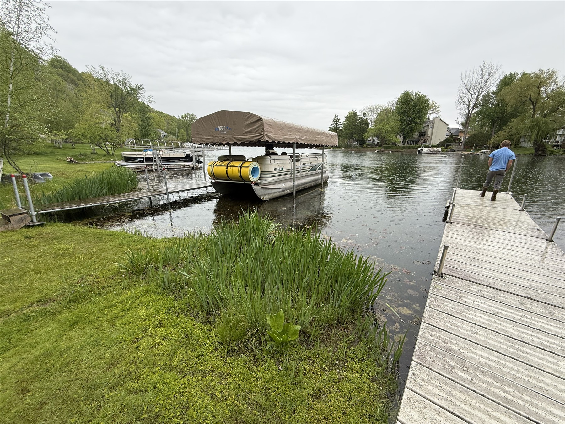 Cattails and dock access beside a lake