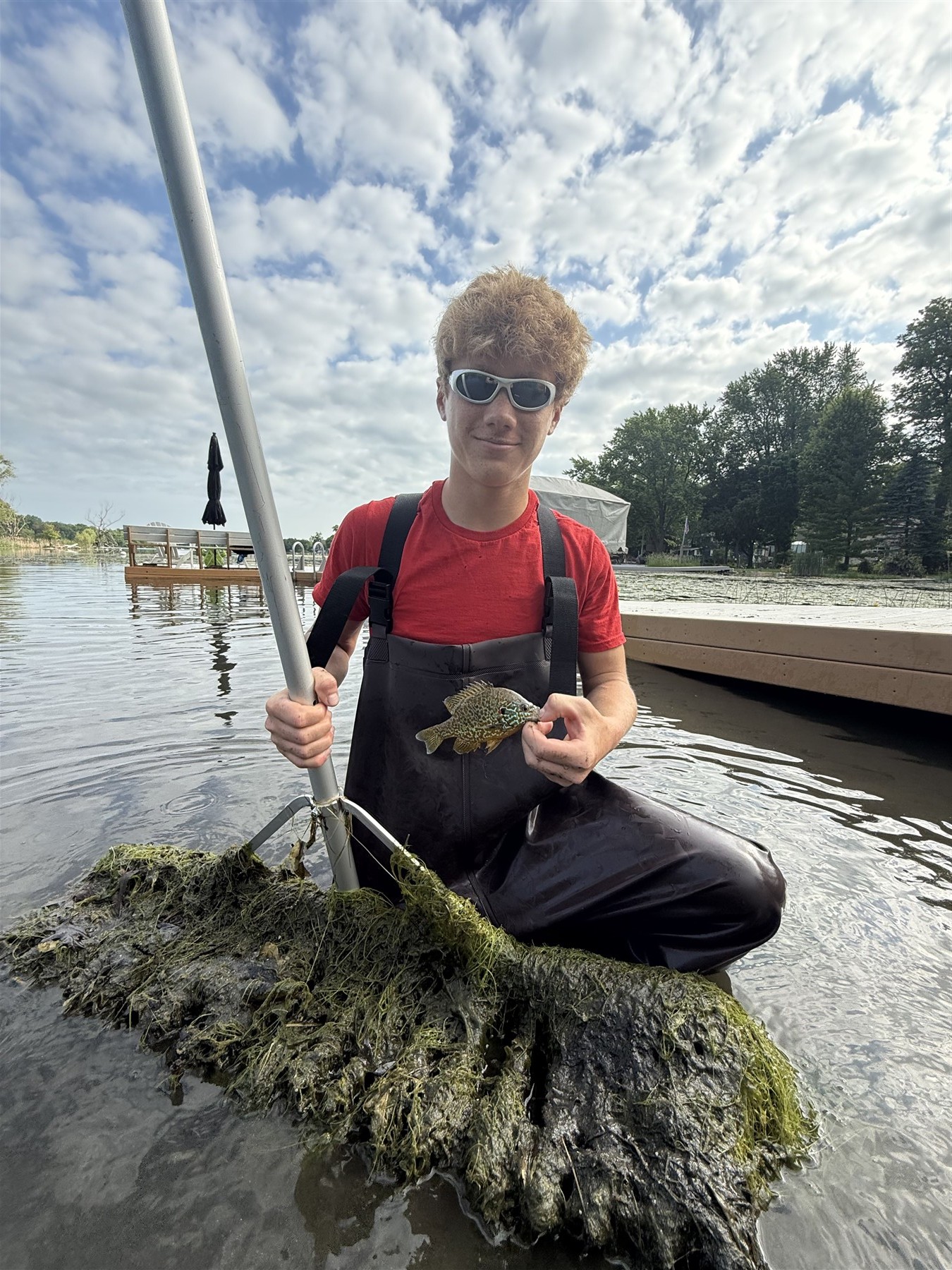 Lake weed removal work in progress
